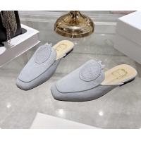 Most Popular Dior Medaillon Flat Mules Sky Blue Suede Leather 6070208