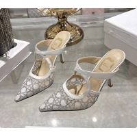 Purchase Dior Capture Pumps White Transparent Mesh with Silver Tone 95MM 6070210