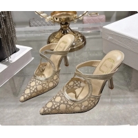Good Looking Dior Ca...