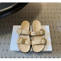 Fashion Dior Medaillon Buckle Flat Slides Sandals Beige Suede Calfskin Leather 6070211