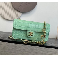 New Design Chanel Metiers D'Art Flap Bag & Gold-Tone Metal AS5313 Green Croc Embossed 2026