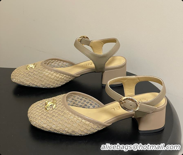 Luxurious Chanel Slingbacks Mesh & Goatskin Beige 6080104