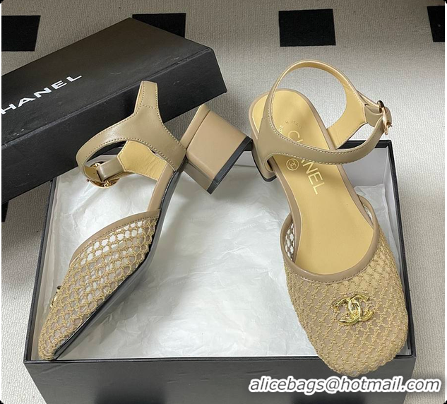 Luxurious Chanel Slingbacks Mesh & Goatskin Beige 6080104