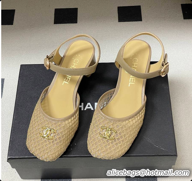 Luxurious Chanel Slingbacks Mesh & Goatskin Beige 6080104