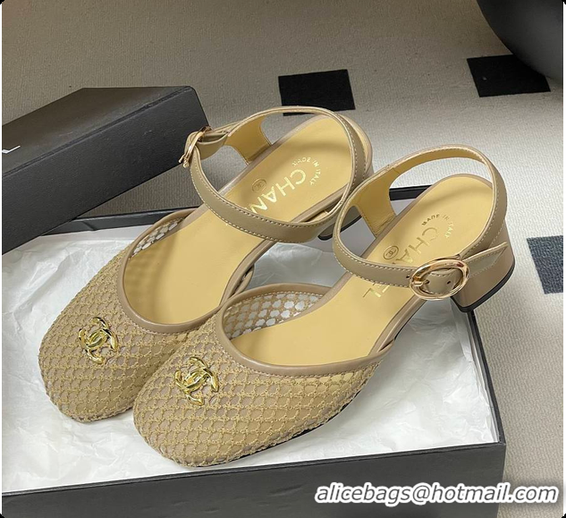 Luxurious Chanel Slingbacks Mesh & Goatskin Beige 6080104