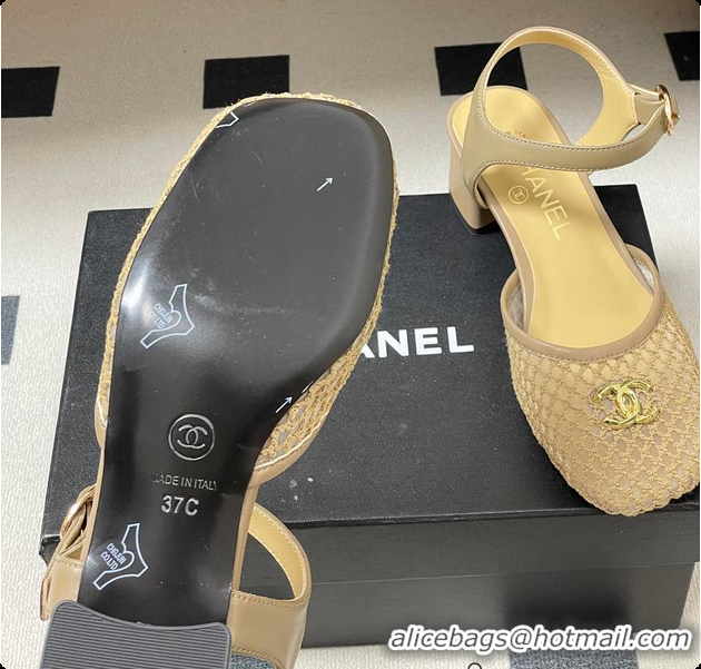 Luxurious Chanel Slingbacks Mesh & Goatskin Beige 6080104
