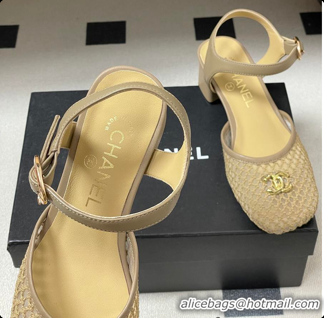 Luxurious Chanel Slingbacks Mesh & Goatskin Beige 6080104
