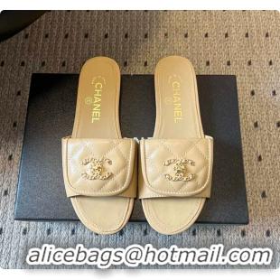 Top Grade Chanel Mules Shiny Calfskin Beige 6080106