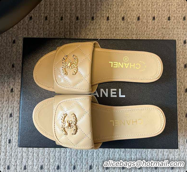 Top Grade Chanel Mules Shiny Calfskin Beige 6080106