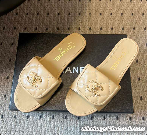 Top Grade Chanel Mules Shiny Calfskin Beige 6080106