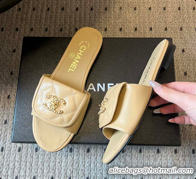 Top Grade Chanel Mules Shiny Calfskin Beige 6080106
