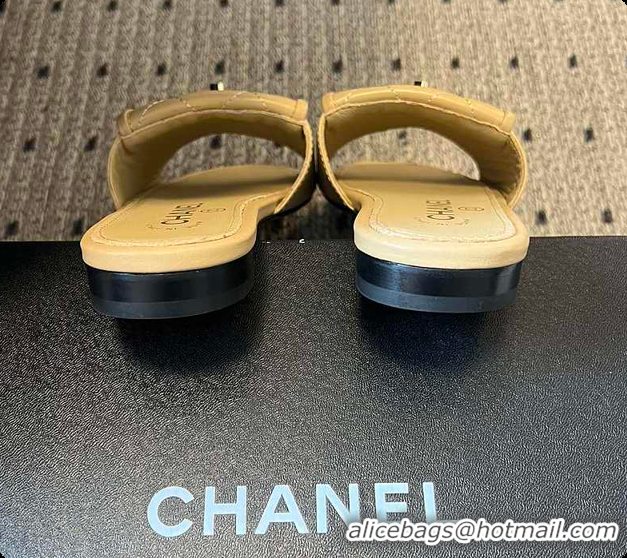 Top Grade Chanel Mules Shiny Calfskin Beige 6080106