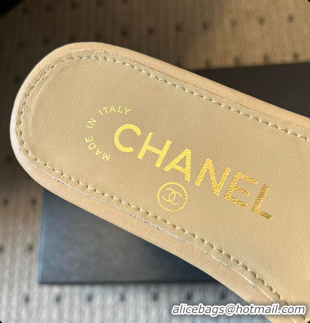Top Grade Chanel Mules Shiny Calfskin Beige 6080106