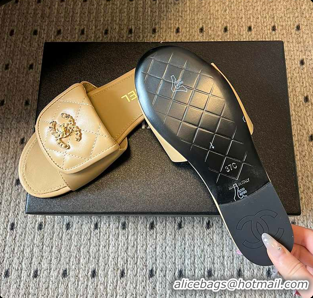 Top Grade Chanel Mules Shiny Calfskin Beige 6080106