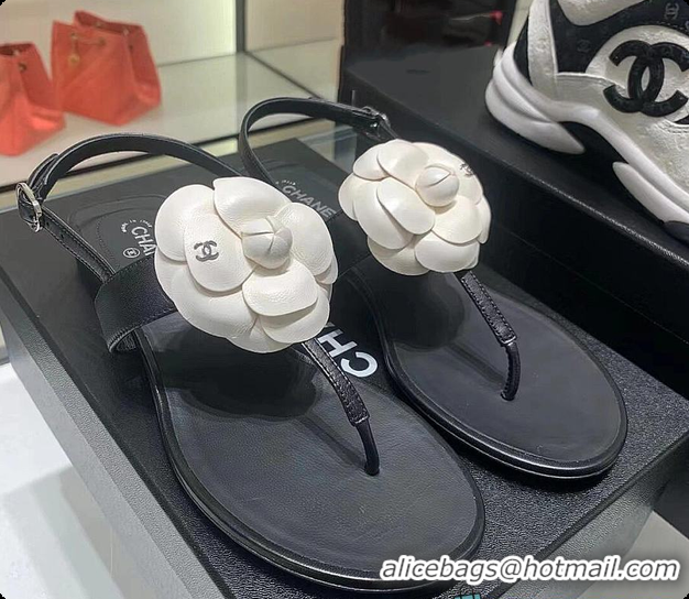 Shop Duplicate Chanel Camellia Sandals Glossy calfskin Black & White 6080201