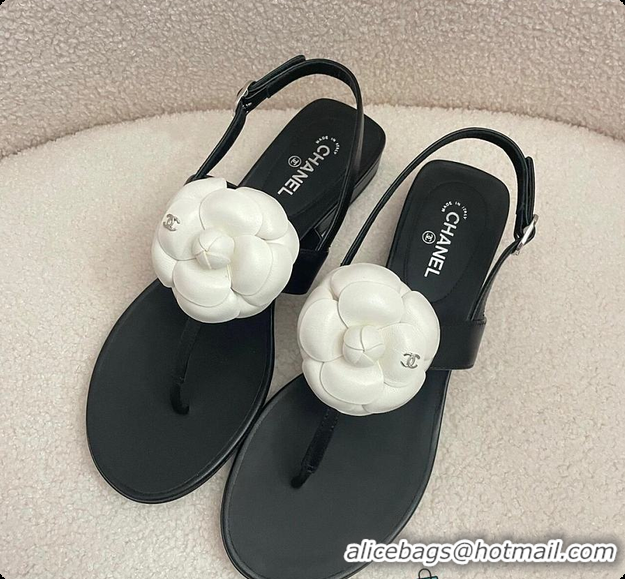 Shop Duplicate Chanel Camellia Sandals Glossy calfskin Black & White 6080201