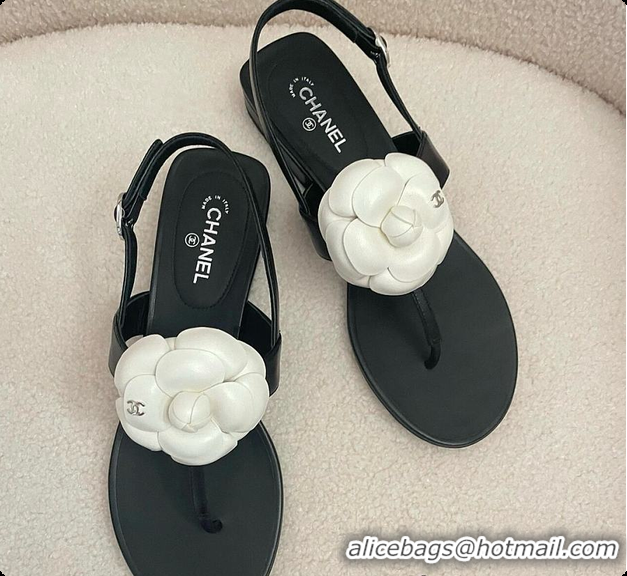 Shop Duplicate Chanel Camellia Sandals Glossy calfskin Black & White 6080201