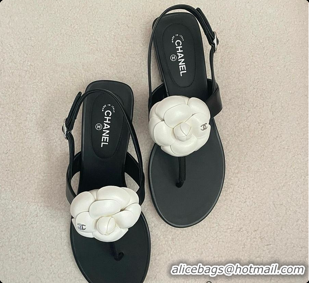 Shop Duplicate Chanel Camellia Sandals Glossy calfskin Black & White 6080201