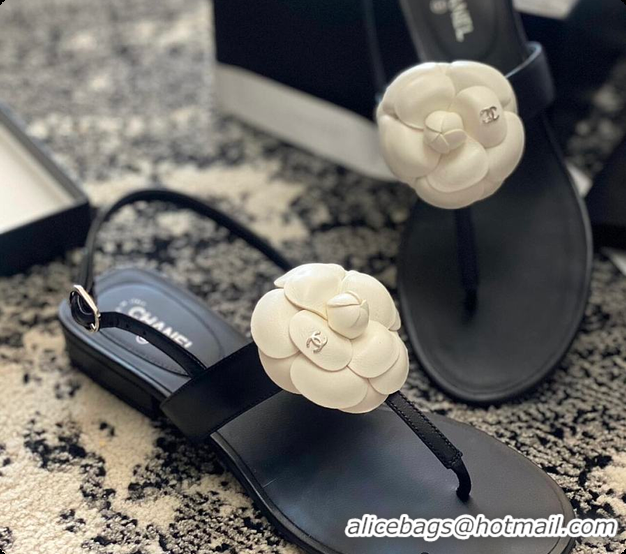 Shop Duplicate Chanel Camellia Sandals Glossy calfskin Black & White 6080201