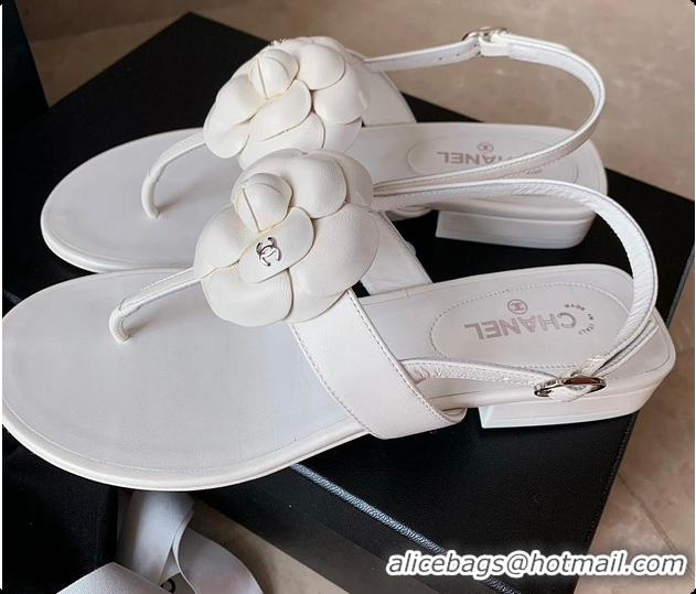 Unique Style Chanel Camellia Sandals Glossy Calfskin  White 6080201