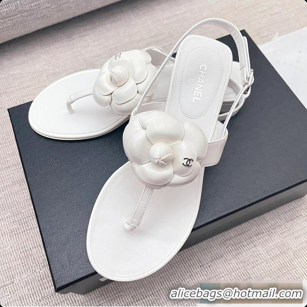 Unique Style Chanel Camellia Sandals Glossy Calfskin  White 6080201