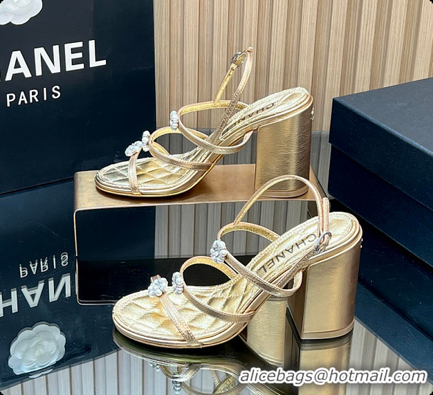 Most Popular Chanel Sandals Sheepskin with a metallic sheen Gold 95mm 6080203