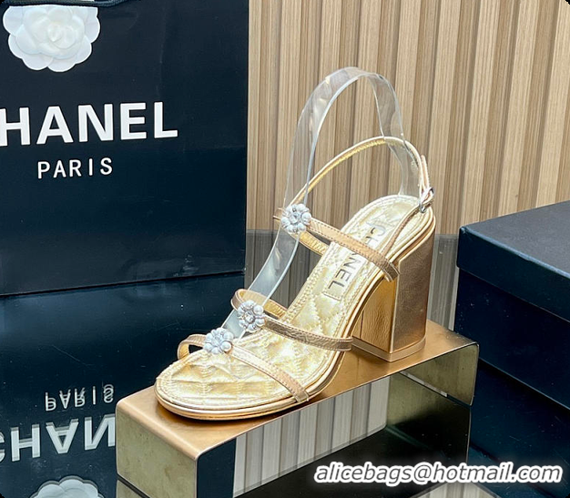 Most Popular Chanel Sandals Sheepskin with a metallic sheen Gold 95mm 6080203