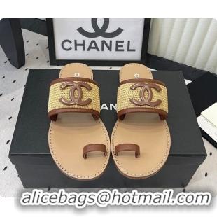Classic Hot Chanel Mules Raffia & Lambskin Beige & Brown 6080209
