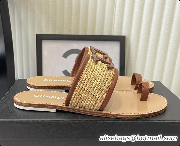 Classic Hot Chanel Mules Raffia & Lambskin Beige & Brown 6080209