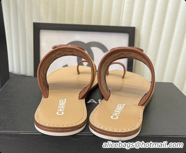 Classic Hot Chanel Mules Raffia & Lambskin Beige & Brown 6080209