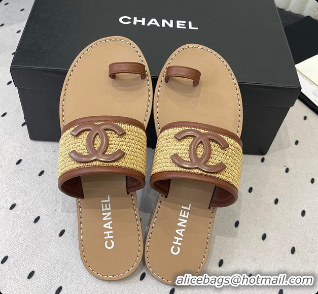Classic Hot Chanel Mules Raffia & Lambskin Beige & Brown 6080209