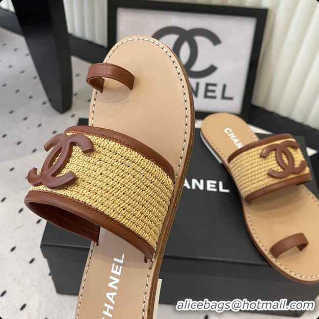 Classic Hot Chanel Mules Raffia & Lambskin Beige & Brown 6080209