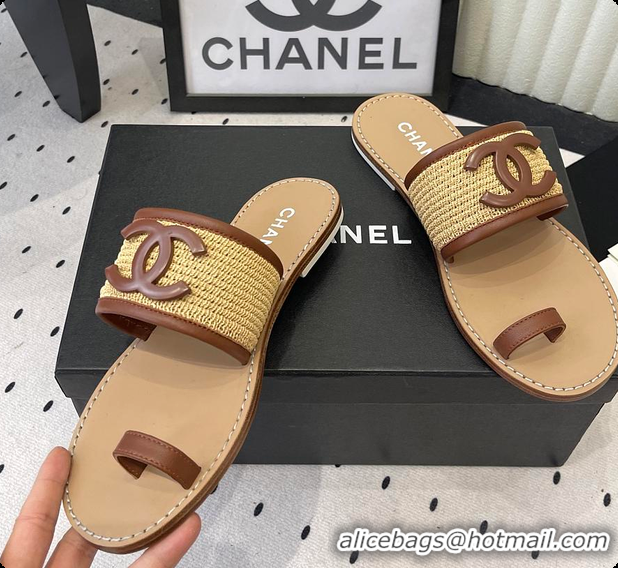 Classic Hot Chanel Mules Raffia & Lambskin Beige & Brown 6080209