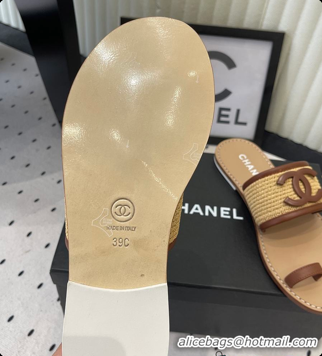 Classic Hot Chanel Mules Raffia & Lambskin Beige & Brown 6080209