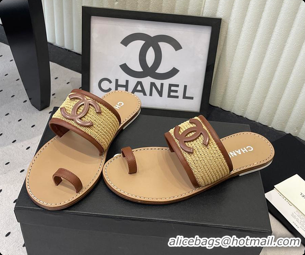 Classic Hot Chanel Mules Raffia & Lambskin Beige & Brown 6080209