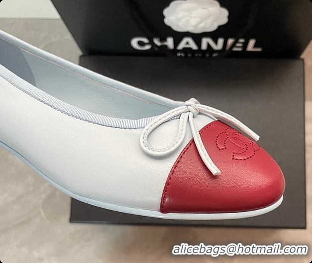 Best Grade Chanel Ballet flats Lambskin Blue & Burgundy 6080210