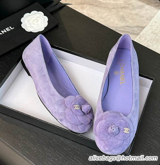 Popular Style Chanel Flower Shoes Purple 6080419
