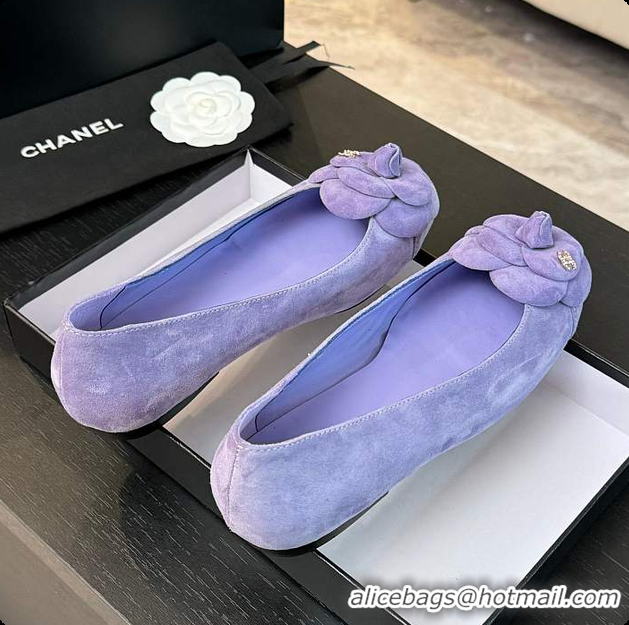 Popular Style Chanel Flower Shoes Purple 6080419