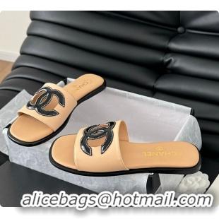 Sophisticated Chanel Women Slide Brown 6080605