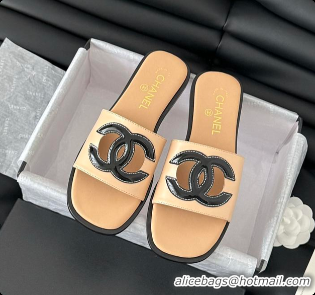 Sophisticated Chanel Women Slide Brown 6080605