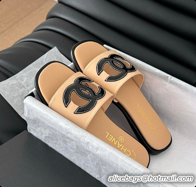 Sophisticated Chanel Women Slide Brown 6080605