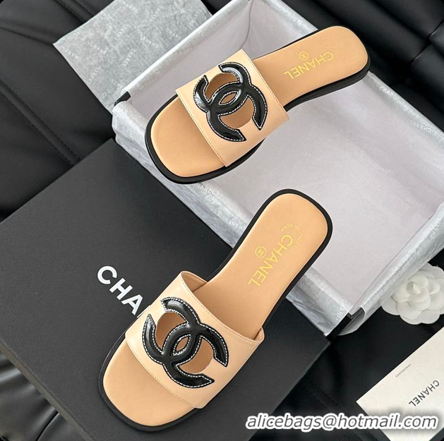 Sophisticated Chanel Women Slide Brown 6080605