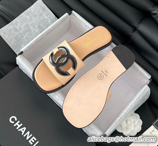 Sophisticated Chanel Women Slide Brown 6080605