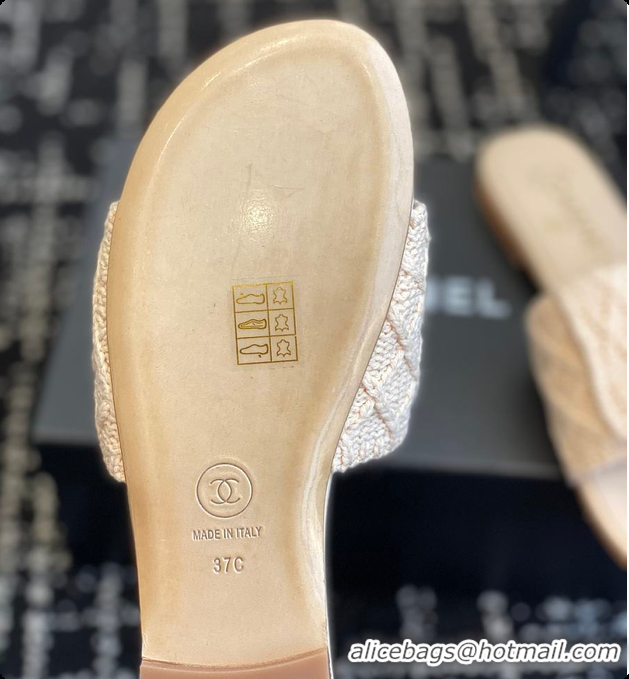 Stylish Chanel Flat Sandal Beige 6080614