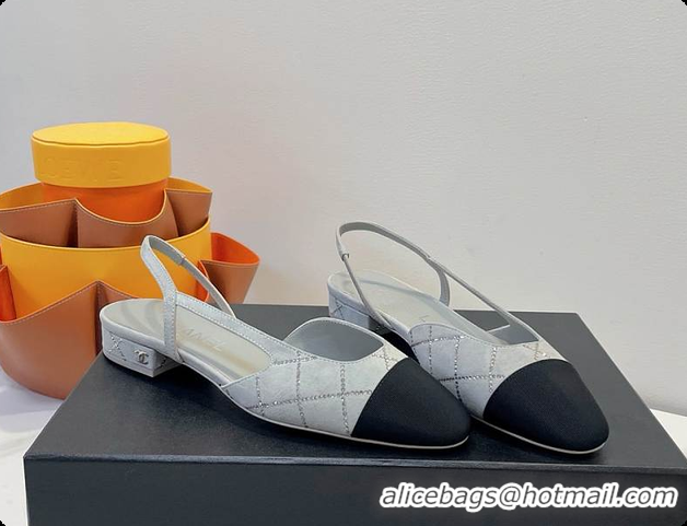 Popular Style Chanel Slingbacks Pump Grey 6080618