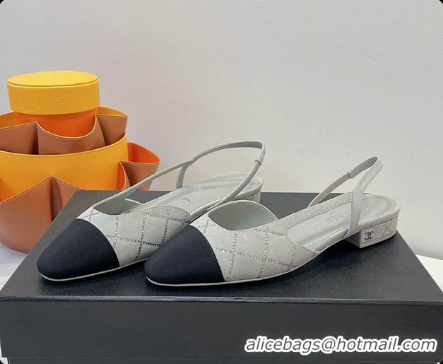 Popular Style Chanel Slingbacks Pump Grey 6080618