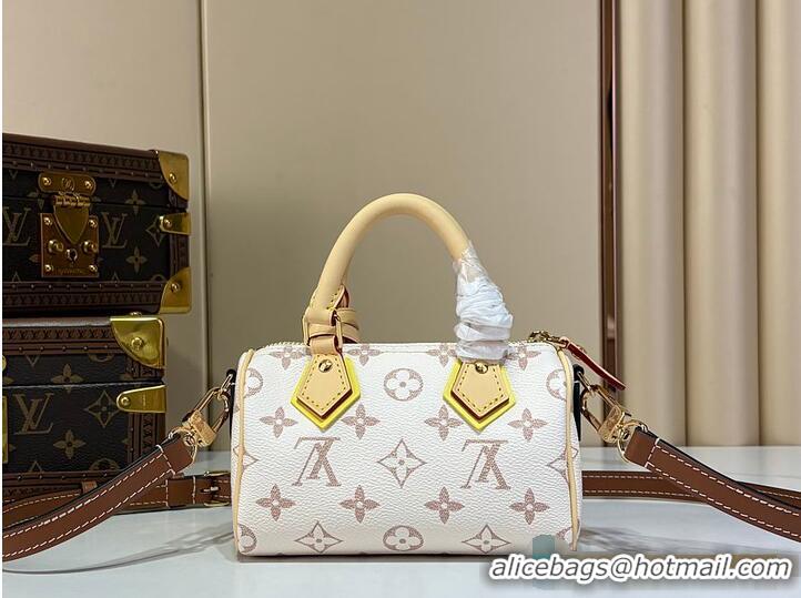 Reasonable Price Louis Vuitton LV Crafty Nano Speedy Monogram Dune M14293