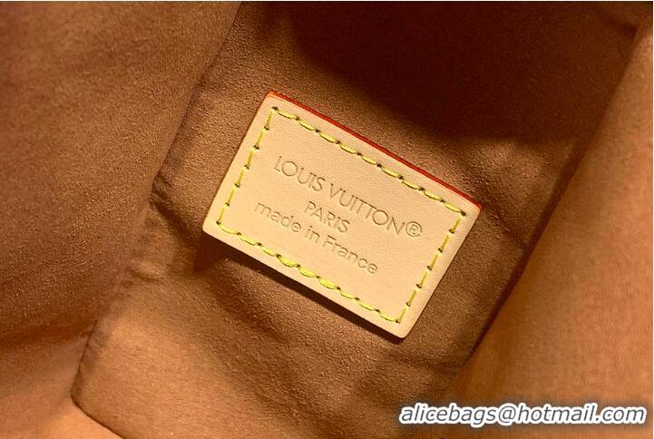 Good Quality Louis Vuitton LV Crafty Side Trunk MM East-West Monogram Dune M14294