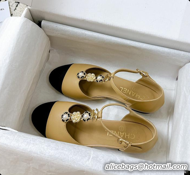 Good Product Chanel Mary Jane Flats 60807012