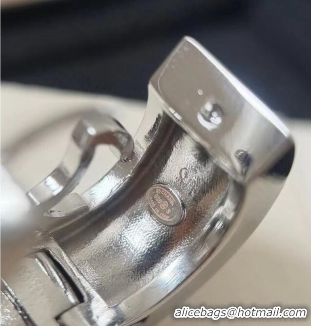 Popular Style Chanel Crystals Earrings CH080426 Silver 2026